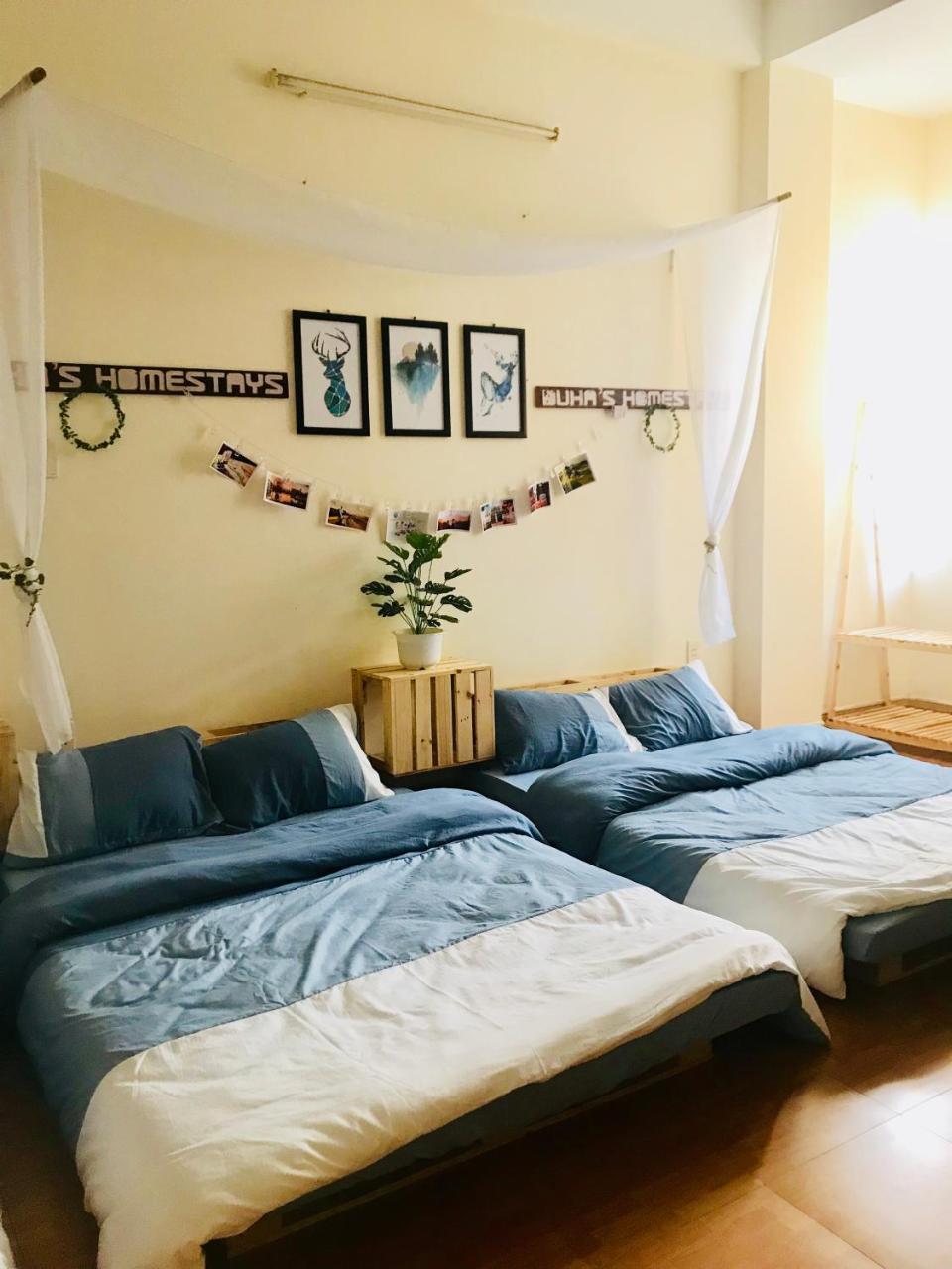 Duha'S Homestay Danang Dış mekan fotoğraf